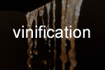 Vinification Vinification